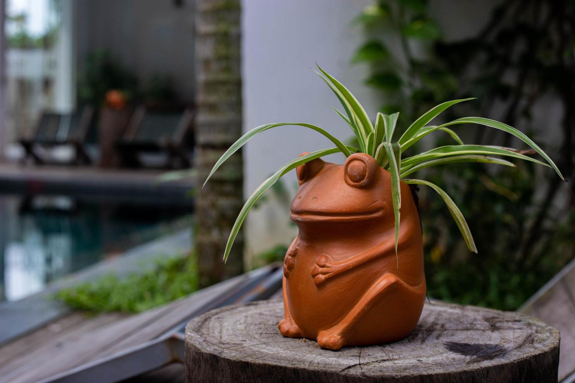 Hoi An Fairy Garden Villa Buitenkant foto